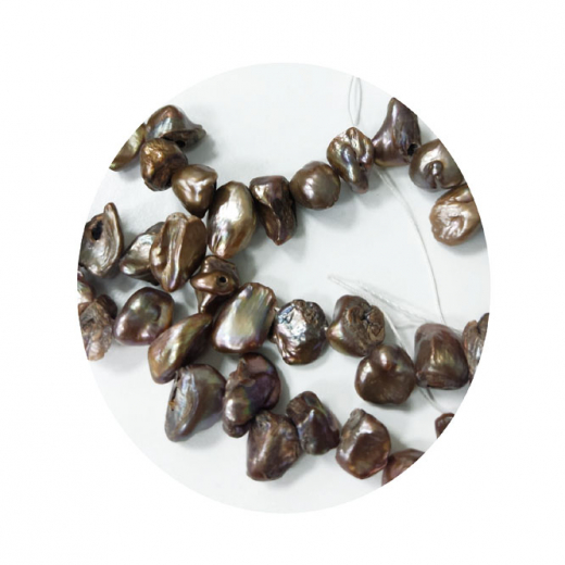 SWP7708- 1 Strang Perlen Zähne quer gebohrt ca (7-9) x (8-12) mm schlamm Farbe