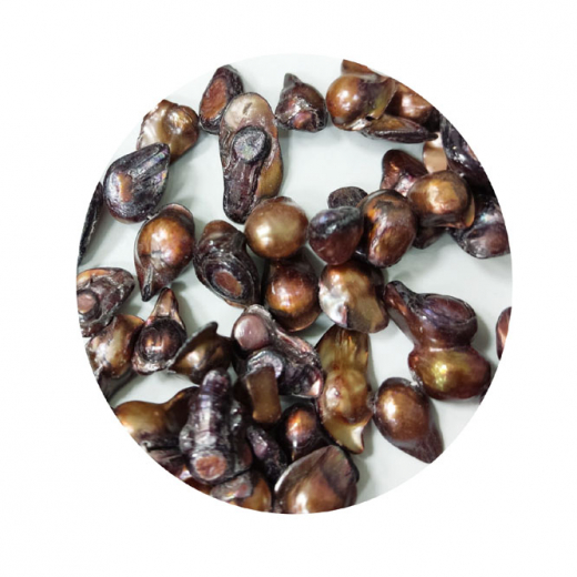 SWP7712- 1 Strang Perlen Zähne quer gebohrt ca (7-9) x (8-15) mm braun