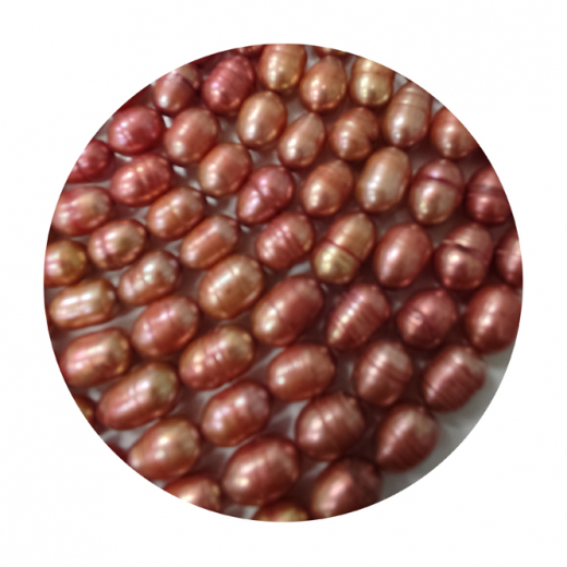 SWP3542- 1 Strang Süßwasserperlen Reiskorn ca (6-6,5)x(8-9) mm, Farbe Padparadscha