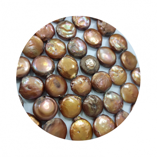 SWP1051- 1 Strang Süßwasserperlen Biwa Perlen Farbe Braun ca 15mm