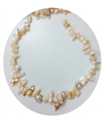 SWP7713- 1 Strang Perlen Zähne quer gebohrt ca (7-10) x (12-20) mm weiss