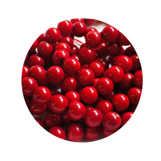 ST230D14- 1 Strang Bambuskorallen in Rot 14mm 40cm