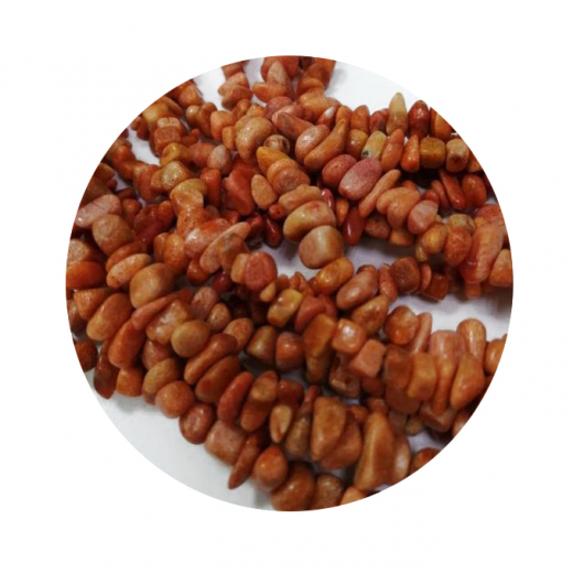 ST221S07- 1 Strg Schaumkoralle Orange Spritt