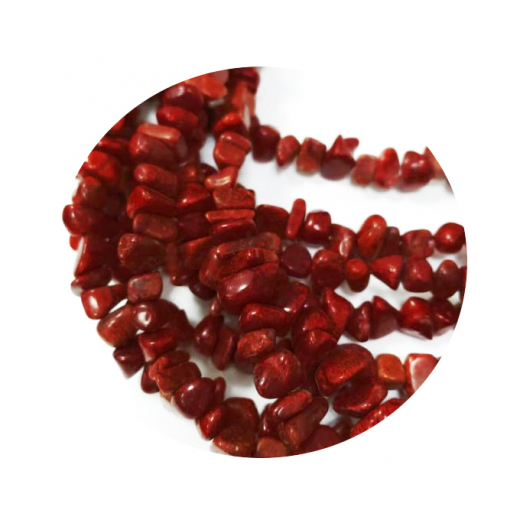 ST221S08- 1 Strg Schaumkoralle d. Rot Spritt