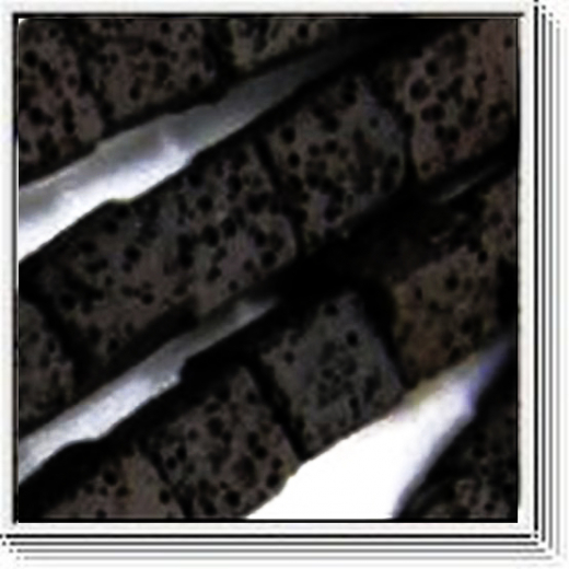 CLW0800- 1 Strang Colorlava ca8x8 dunkel black