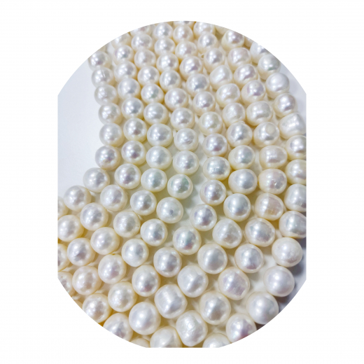 SWP2012- 1 Strang Süßwasserperlen edle rund ca 12-13 mm AAA