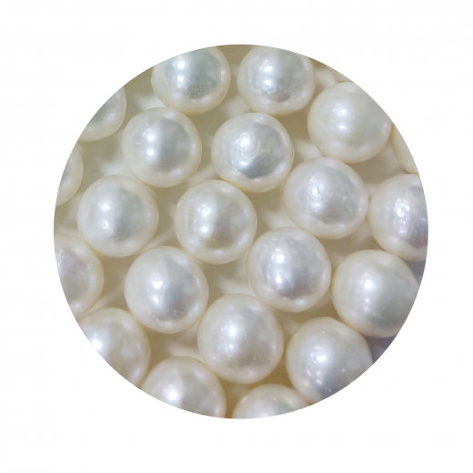 SWP2012- 1 Strang Süßwasserperlen edle rund ca 12-13 mm AAA