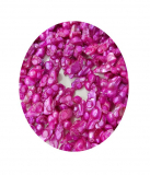 SWP7707- 1 Strang Perlen Zähne quer gebohrt ca (10-15) x (12 -20) mm Pink