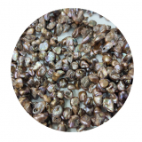 SWP7708- 1 Strang Perlen Zähne quer gebohrt ca (7-9) x (8-12) mm schlamm Farbe