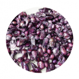 SWP7709- 1 Strang Perlen Zähne quer gebohrt ca (8-12) x (10 -16) mm lila