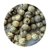 CS42001- 1 Strang Holzkugel Tigel Muster D20