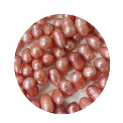 SWP7706- 1 Strang Große Perlen quer gebohrt ca7x10 mm altrosa