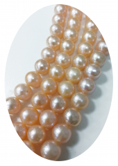 SWP2110- 1 Strang Süßwasserperlen rund 9,5-10 mm AAA apricot